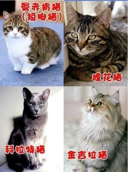 关于我们 第1223页