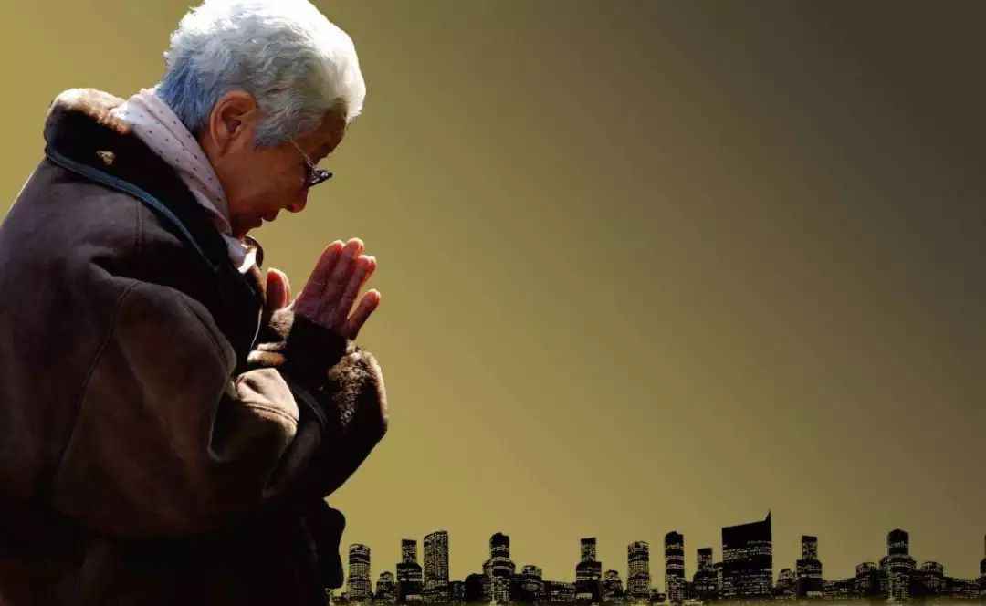 铁律下的柔情纽带,官场日常与温情纽带