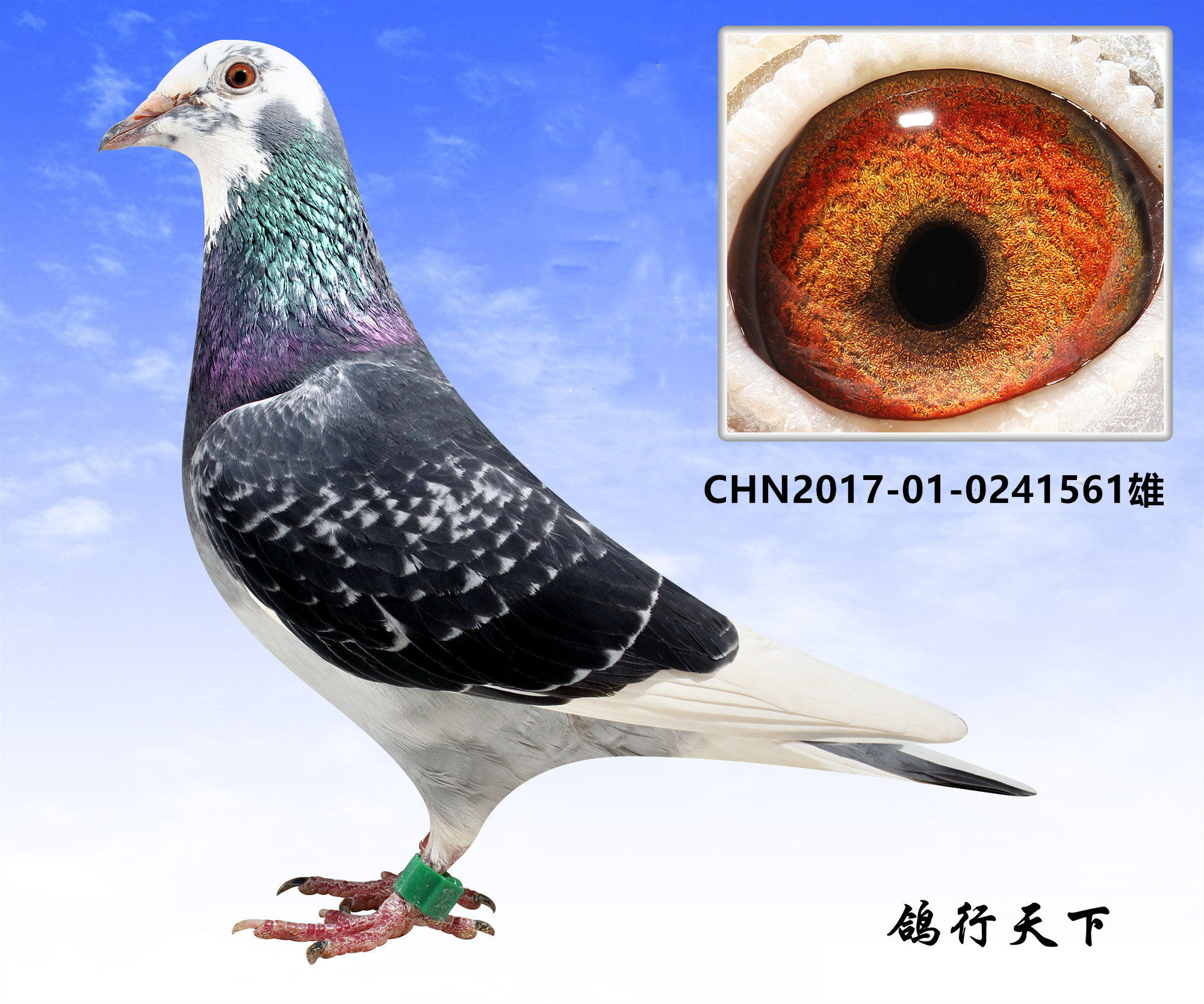 橘虞初梦 第82页