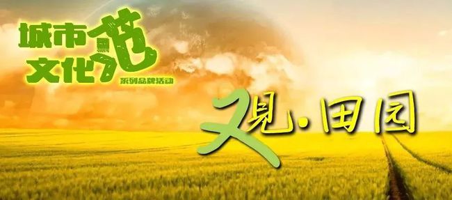 行业资讯 第996页