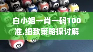 白小姐一肖一码100准,细致策略探讨解释解答_IXF9.68.96怀旧版