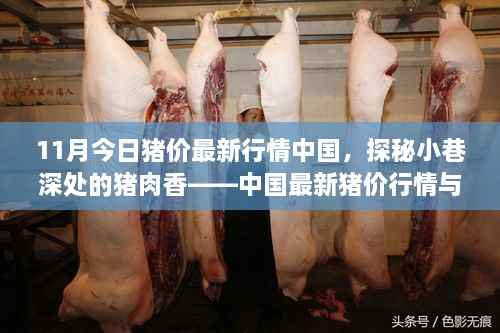 探秘小巷深处的猪肉香,中国最新猪价行情揭秘与特色小店奇遇