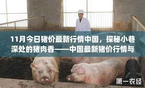 探秘小巷深处的猪肉香,中国最新猪价行情揭秘与特色小店奇遇