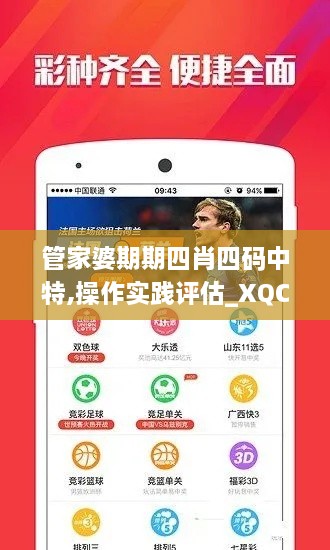 管家婆期期四肖四码中特,操作实践评估_XQC18.91