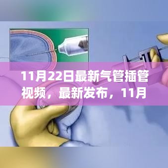 admin 第39页