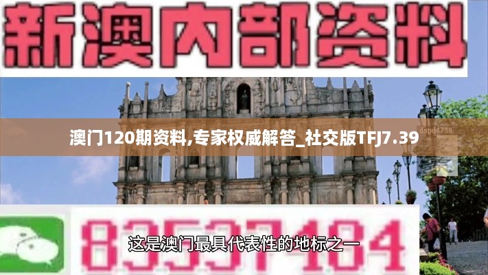 gangyimune 第21页
