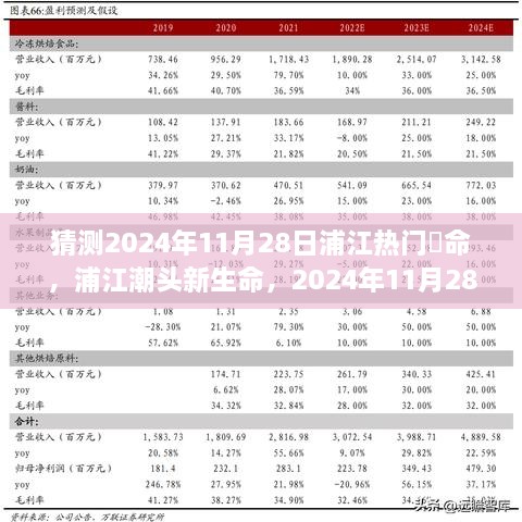 产品展示 第442页