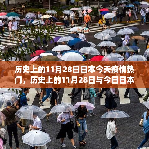 关于我们 第430页
