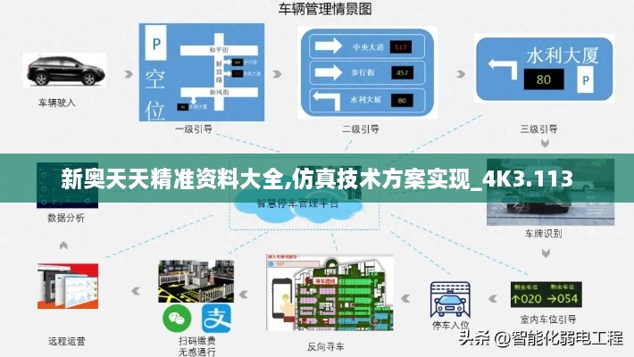 新奥天天精准资料大全,仿真技术方案实现_4K3.113