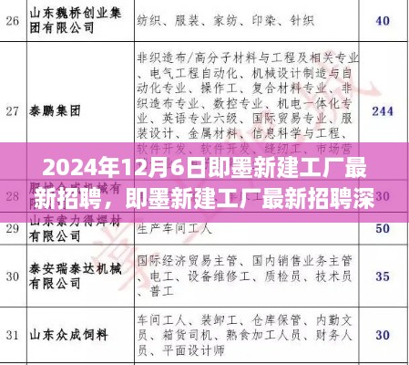 招聘机遇