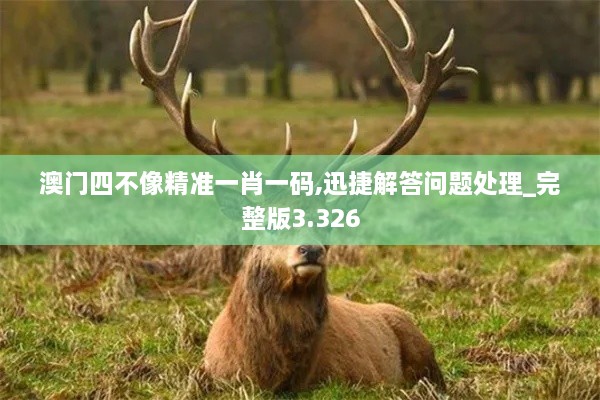 客户案例 第341页