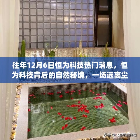 dayajunzi 第14页