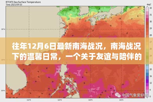 borandanu 第13页