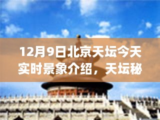 xianziyimao 第11页