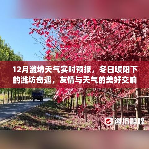 feitiandundi 第7页