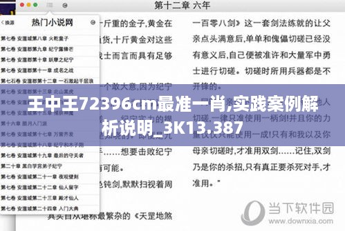 王中王72396cm最准一肖,实践案例解析说明_3K13.387