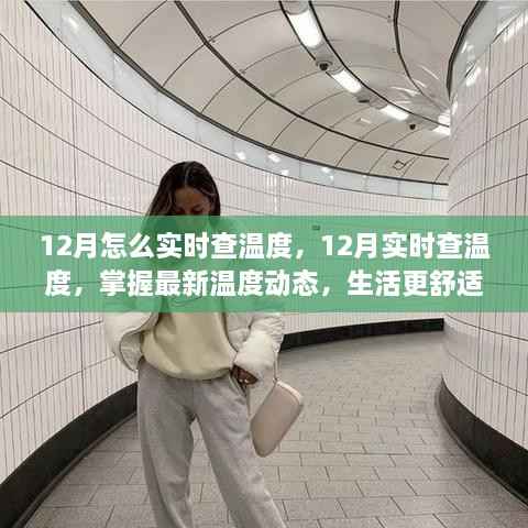掌握最新温度动态,如何在十二月实时查温度