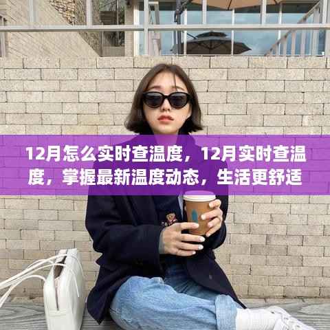 掌握最新温度动态,如何在十二月实时查温度