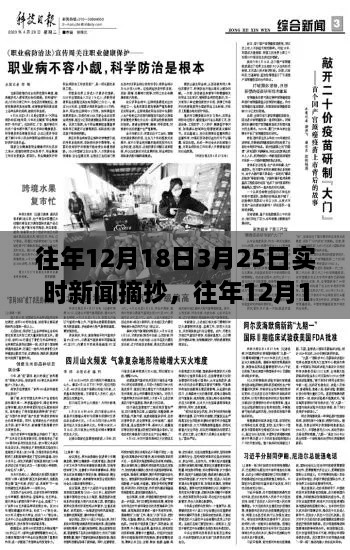 borandanu 第5页
