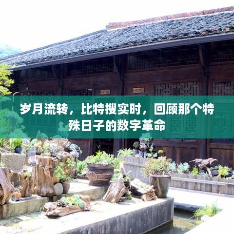 岁月见证