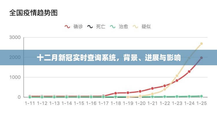 十二月新冠实时查询系统，背景、进展及其影响概览
