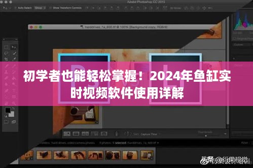 使用详解