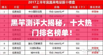 黑竿测评大揭秘，十大热门排名榜单！
