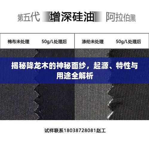 揭秘降龙木的神秘面纱，起源、特性与用途全解析